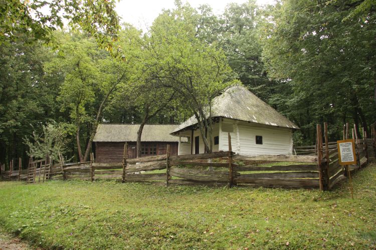 Gospodărie-atelier de dogar; Săhastru, Paltin, com. Nereju, jud. Vrancea; Complexul Naţional Muzeal Astra - Sibiu